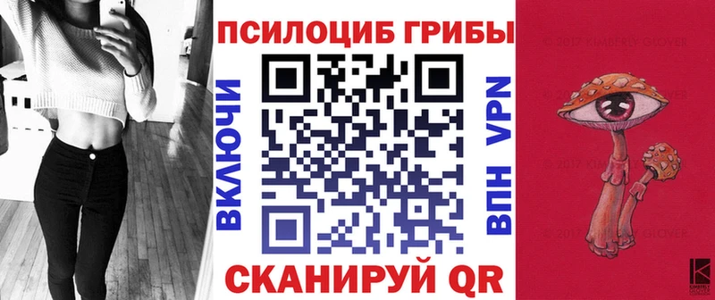 Купить закладки  Медвежьегорск  Псилоцибиновые грибы ЛСД 